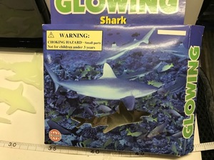 ● GLOWING Shark 蛍光 2003 店番　X-416-35