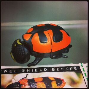 ＹＯＷiＥ ヤウイ 1-40 Jewel Shield Beetle ジュエルバグ 