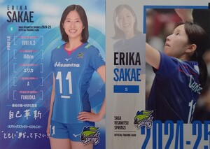 栄絵里香　 ５枚　SAGA久光スプリングス 2024-25 トレーディングカード 個人レギュラーコンプ　　　/ 女子バレーボール SVリーグ 