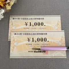 ビックカメラ　株主優待　2000円