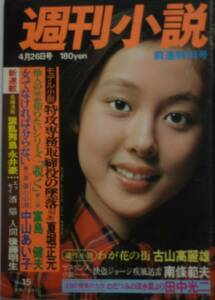 週刊小説　1976.4.26号　神保美喜　中山あい子　富島建夫　永井豪/nn05132