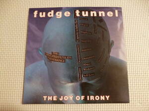 新品未使用 Fudge Tunnel / The Joy Of Irony ■