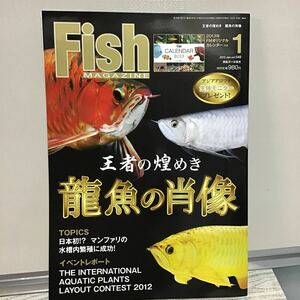 フィッシュマガジン 2013.1 メ⑥ 王者の煌めき 龍魚 の肖像 マンファリ の 水槽内 繁殖 ピラルクからアロワナへ メダカ 展示会 らんちゅう