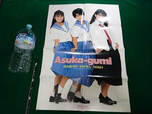 花のあすか組！ 小高恵美 小沢なつき 石田ひかり ポスター ニュータイプ 1988年 昭和63年 9月号 付録