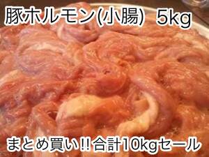 新春特別セール！！特価価格！！北海道産豚小腸 新鮮 急速冷凍!! 国産 豚ホルモン5kg！！10kg迄は送料同額にて同梱も可能！！