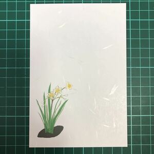 絵はがき　５枚 水仙(85)