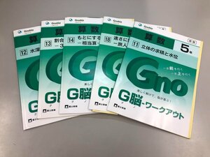 ★　【計5冊 G脳-ワークアウト 算数 5年 グノーブル 富士教育 立体の求積と水位/速さに関する文章…】159-02410