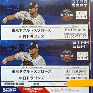 中日ベンチ裏最前列通路側！ヤクルトvs中日8/12（月.祝日）スターシート3塁側2枚連番席 定価以下スタート神宮球場18時〜