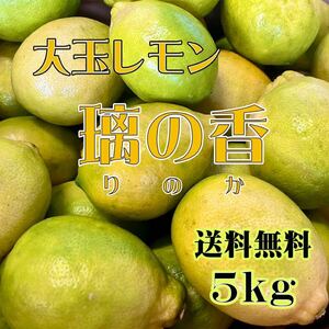 減農薬 熊本県産 璃の香（りのか） 家庭用5kg 送料無料