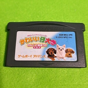 【1300円以上ご購入で送料無料!!】【GBA】⑪⑩かわいい仔犬～わんこと遊ぼう!～(箱説なし)【ゲームソフト】