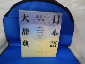 ○●○日本語大辞典 カラー版（現状品）○●○