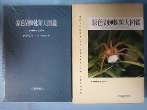 原色日本蜘蛛類大図鑑 増補改訂版 八木沼健夫/著 保育社 昭和53年