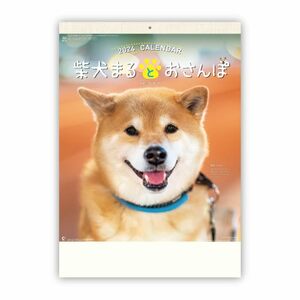ＮＫ３５　柴犬まるとおさんぽカレンダー