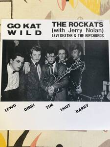 ★アナログレコード LP盤 ■貴重盤■ THE ROCKATS/ロカッツ 『GO KAT WILD』 japan mint vinyl record Legendary 1980s ネオロカビリー