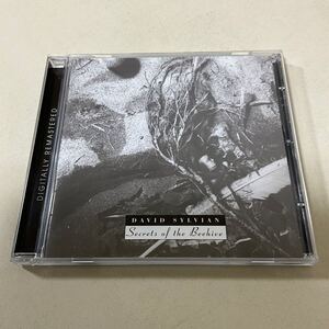 輸入盤 David Sylvian Secrets Of The Beehive/デイヴィッドシルヴィアン /Japan /Remastered