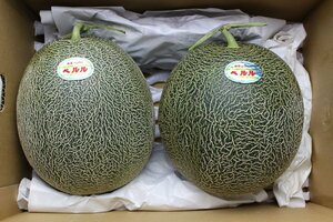 【限定1箱】糖度16度前後!! 岡山県特産ペルルメロン 超大玉 2玉入(1玉2.7㎏前後) 合計5.4kg前後 家庭用 1円スタート