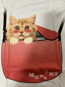 パロディーTシャツ・はにかみ仔猫Tシャツ（チンチラ・赤ショルダー）男女兼用・М