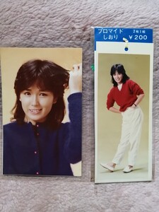 藤谷美和子　プロマイド　しおり 【送料込み】