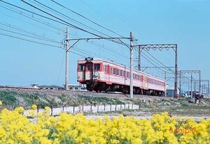 【鉄道写真】南海電鉄キハ5551＋キハ5501 きのくに [0008145]（直近終了分の追加出品）