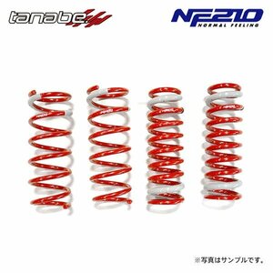 tanabe タナベ サステック NF210 ダウンサス 1台分 レクサス GS350 GRS191 H17.8～H24.1 2GR-FSE NA FR