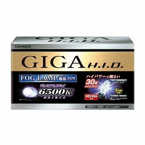 送料無料！ GIGA フォグランプ用HIDコンバージョンキット 6500K プレミアムスカイ HB3/HB4【GFK665】