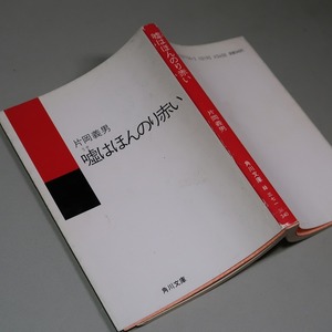 片岡義男：【嘘はほんのり赤い】＊昭和６２年＊＜角川文庫・初版＞