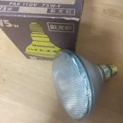 ハイビーム電球 75W 散光形