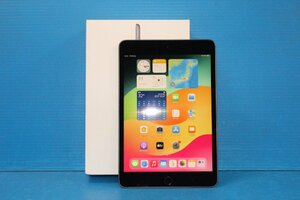 ■Apple■ iPad mini 第5世代 Wi-Fiモデル 64GB スペースグレイ [MUQW2J/A]