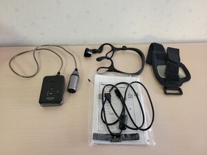 美品 Panasonic HX-A100 ウェアラブルカメラ アクションカメラ