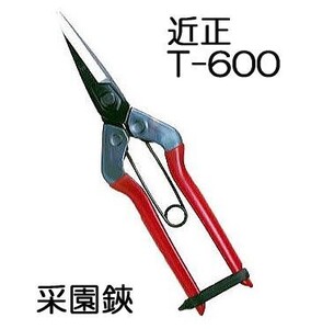 (12丁セット特価) 近正 菜園鋏 (采園鋏) T-600 チカマサ