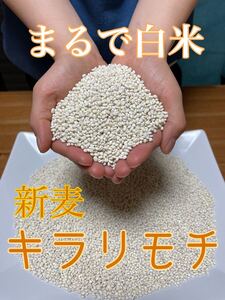 令和6年産　新麦　キラリモチ　もち麦　1.5kg 国産