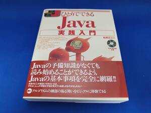 【美品】 技術評論社 ひとりでできるJava実践入門