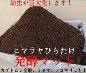 送料無料☆【改良版】カブトムシ幼虫が大きくなります！ヒマラヤひらたけ発酵マット☆産卵にも抜群！雑虫混入全くなし！栄養添加剤入 10L