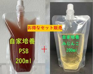 200ml@2個 750円 【送料無料】自家培養PSB+ミジンコセット【アクアリウム 熱帯魚 メダカ 稚魚】