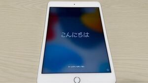 Apple iPad mini 4 128GB ゴールド Wi-Fi+Cellular docomo 第4世代