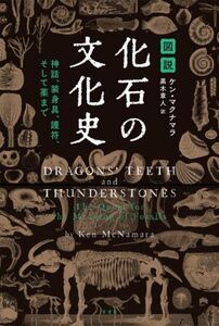 図説 化石の文化史 神話、装身具、護符、そして薬まで/ケン・マクナマラ(著者),黒木章人(訳者)