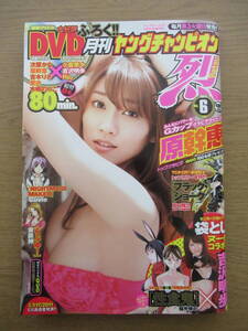 月刊ヤングチャンピオン烈 2011/NO.6 DVD付き 原幹恵 次原かな 吉木りさ 愛衣 木嶋のりこ 吉沢明歩 小倉奈々 Rio