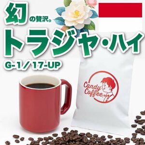 【出来立て】【 400g 】自家焙煎コーヒー豆　トラジャハイ G1 17UP 【高級】【贈答品】 深煎り　キャンディコーヒー Candy Coffee