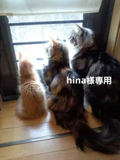 hina様専用です♪︎