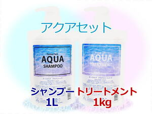 Porous Care アクアシャンプー 1L ＆アクアトリートメント1kg 地肌スッキリ 髪しっとり ほのかなラベンダーの香り ヘアサロン専売品