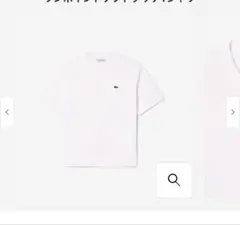 LACOSTE ワンポイントソフト Tシャツ サイズ2 ホワイト