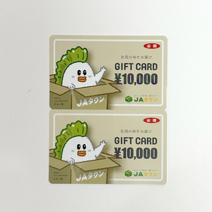 全農 JAタウン ギフトカード 20,000円分（10,000円×2枚） 送料無料