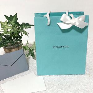 ティファニー「TIFFANY&Co.」ミニショッパー アクセサリー箱サイズ 現行 (3954) 正規品 付属品 ショップ袋 ブランド紙袋 折らずに配送 