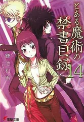 とある魔術の禁書目録(インデックス) (14) (電撃文庫)