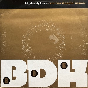 【試聴 7inch】Big Daddy Kane / Ain