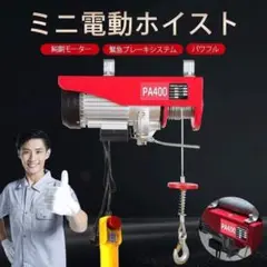 電動ウインチ 100V 400kg 電動ホイスト 吊り下げ 780