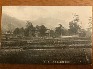 PP-6294 ■送料無料■ 山口県 萩史蹟 護國寺 建築物 建物 田畑 風景 景色 神社 寺 宗教 絵葉書 写真 古写真/くNAら