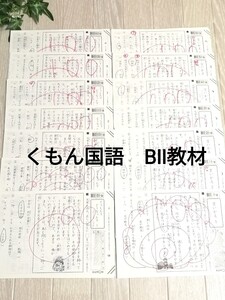 ⑭☆くもん 公文　国語プリント　BⅡ ☆