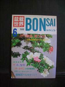 ★　盆栽世界　★　1988年 6月号