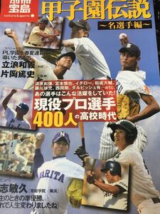 ☆本野球「プロ野球選手の甲子園 伝説　名選手編」立浪片岡清原桑田宮本松坂イチロー藤川西岡ダルビッシュ仁志松井別冊宝島1544